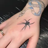 Изображение 4