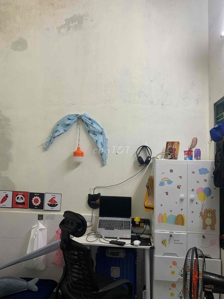 Студия · 20 м² 3
