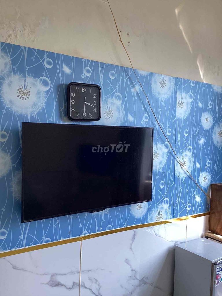 Студия · 20 м² 3