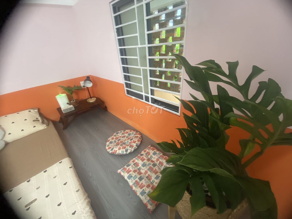 Студия · 30 м² 2