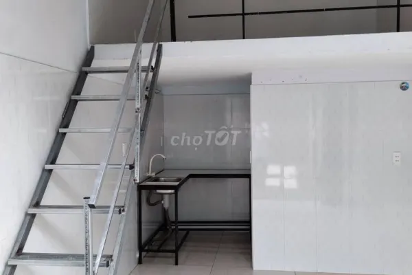 Студия · 24 м²