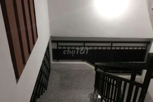 Студия · 20 м²