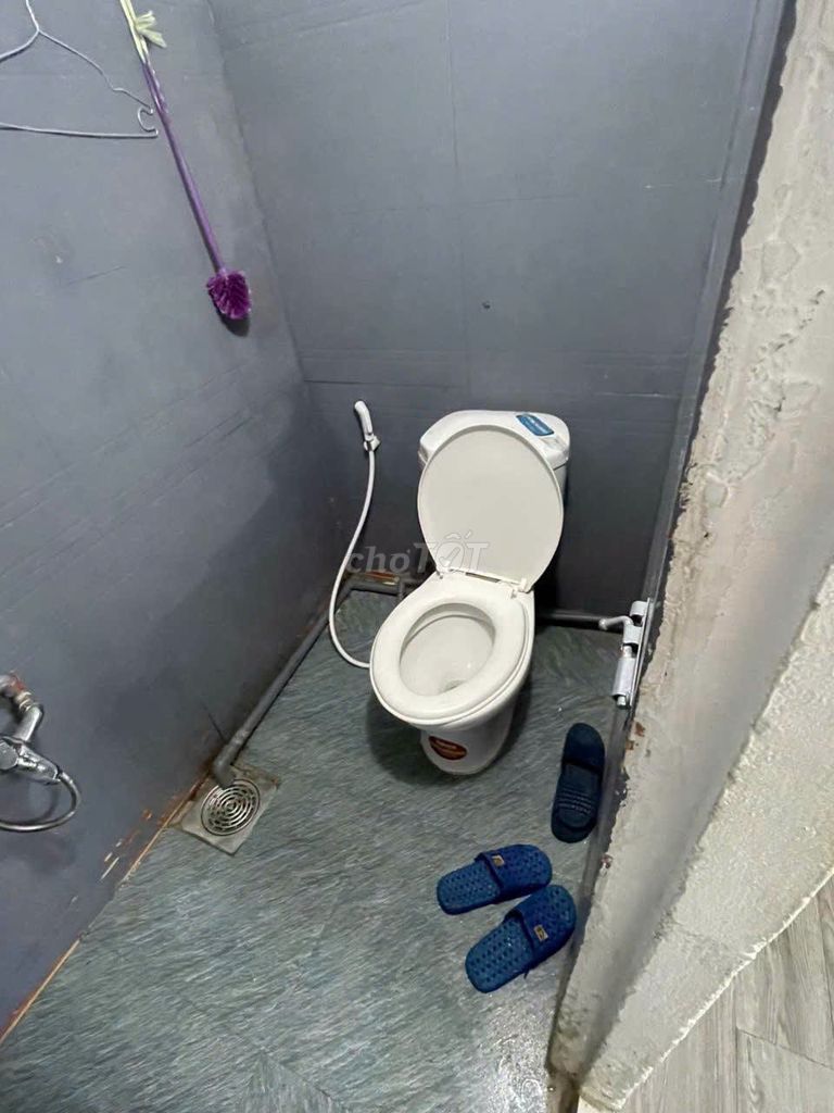 Студия 5