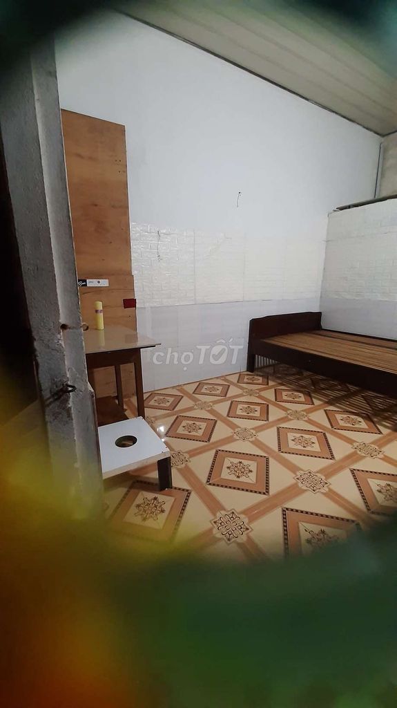 Студия · 17 м² 2