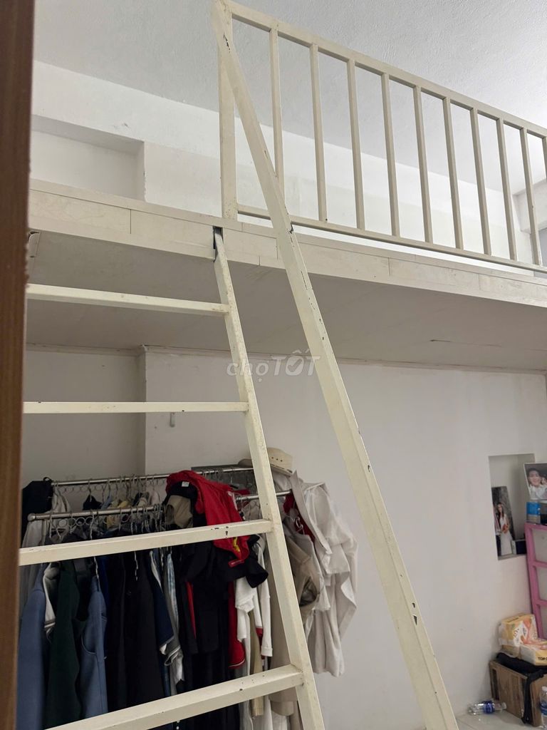 Студия · 100 м²