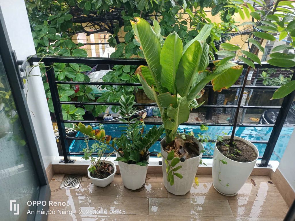 Студия · 10 м² 6