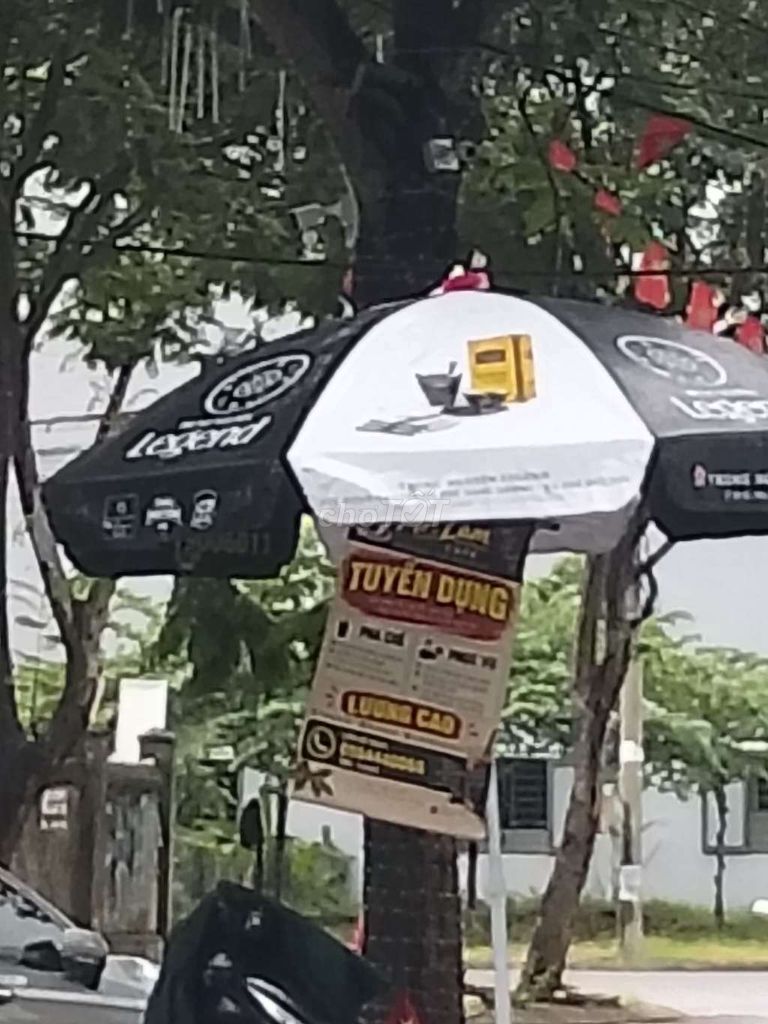 Студия · 25 м² 3