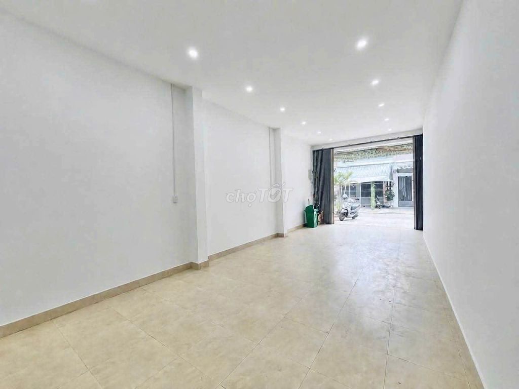 55 м²