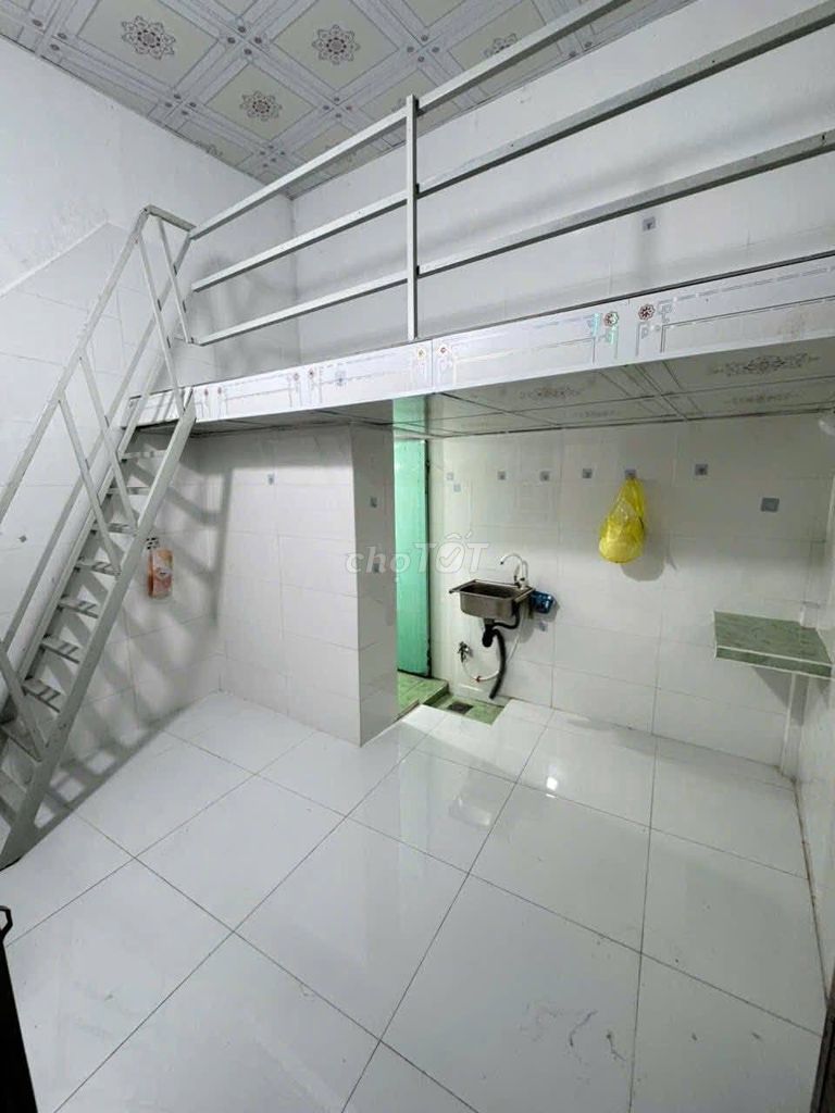 Студия · 20 м² 2