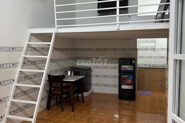 Студия · 25 м²