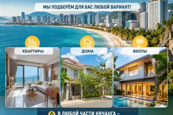 Недвижимость